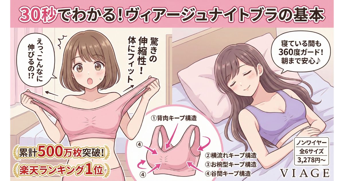 ヴィアージュナイトブラ とは